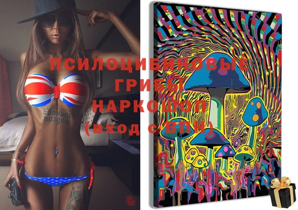 альфа пвп Вяземский