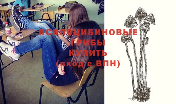 прущий лед Володарск