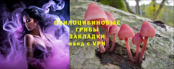 альфа пвп Вяземский