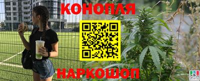 эйфоретик Гусев