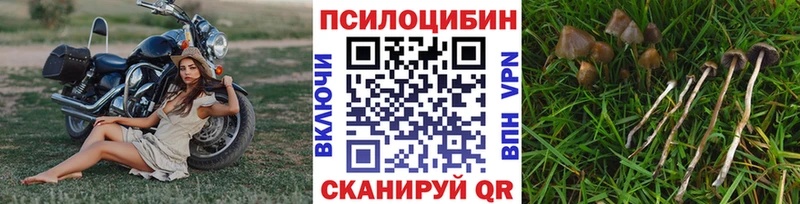 Галлюциногенные грибы Cubensis  купить наркотик  Ноябрьск 